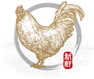 chicken